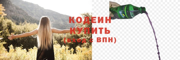 индика Абаза