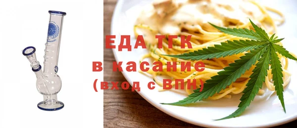 индика Абаза