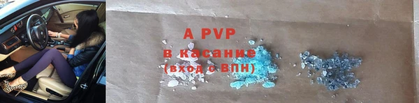 индика Абаза