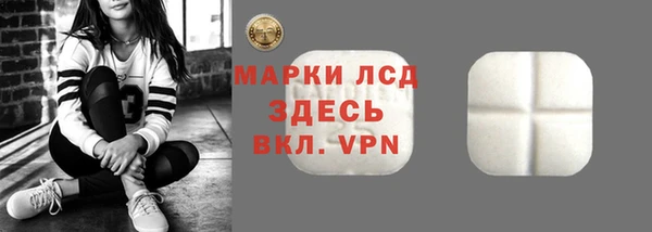 индика Абаза