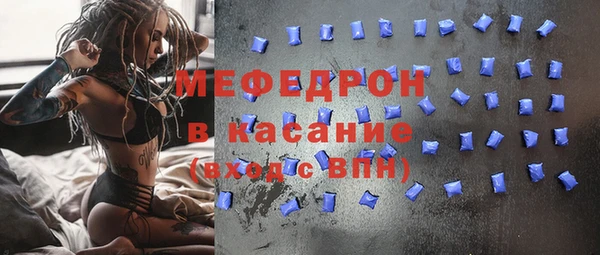 индика Абаза