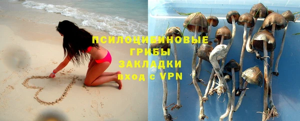 индика Абаза