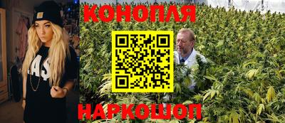 эйфоретик Моздок