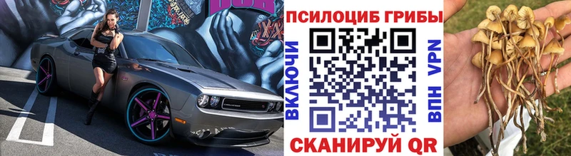 Галлюциногенные грибы GOLDEN TEACHER Каменск-Уральский