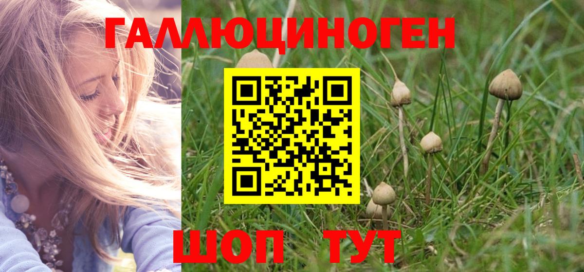 Псилоцибиновые грибы GOLDEN TEACHER Каменск-Уральский